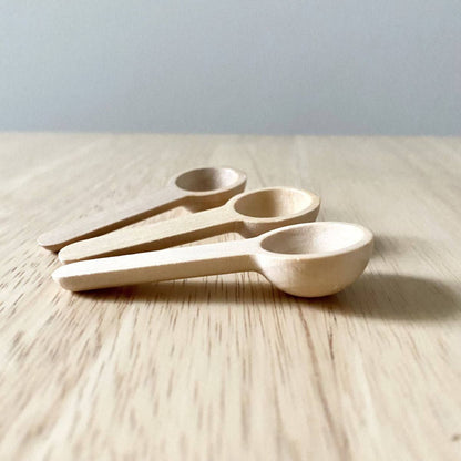 Mini Bamboo Wood Spice Spoon Set - 6 Pieces